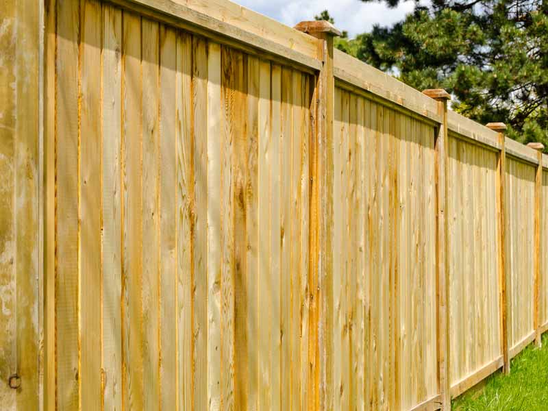 Fencing Services